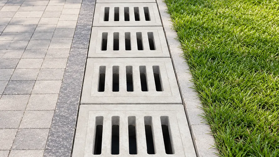 Drain Cover